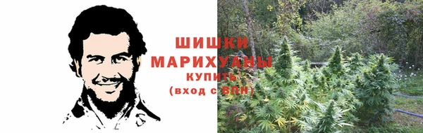 PSILOCYBIN Волоколамск