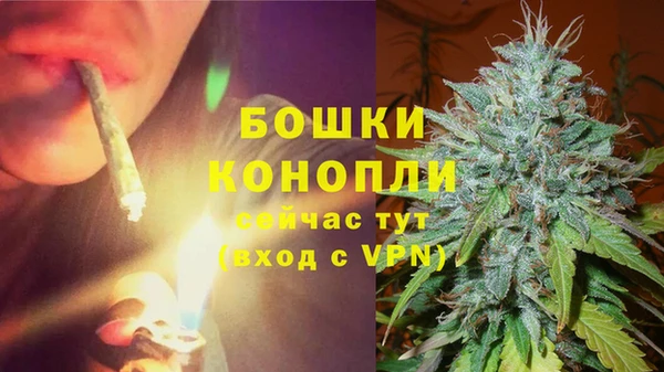 PSILOCYBIN Волоколамск