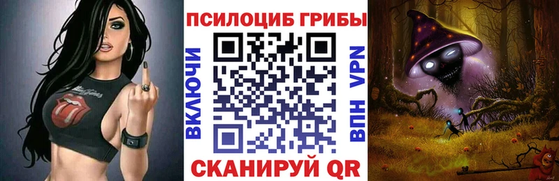 закладка  Кандалакша  Галлюциногенные грибы Magic Shrooms 